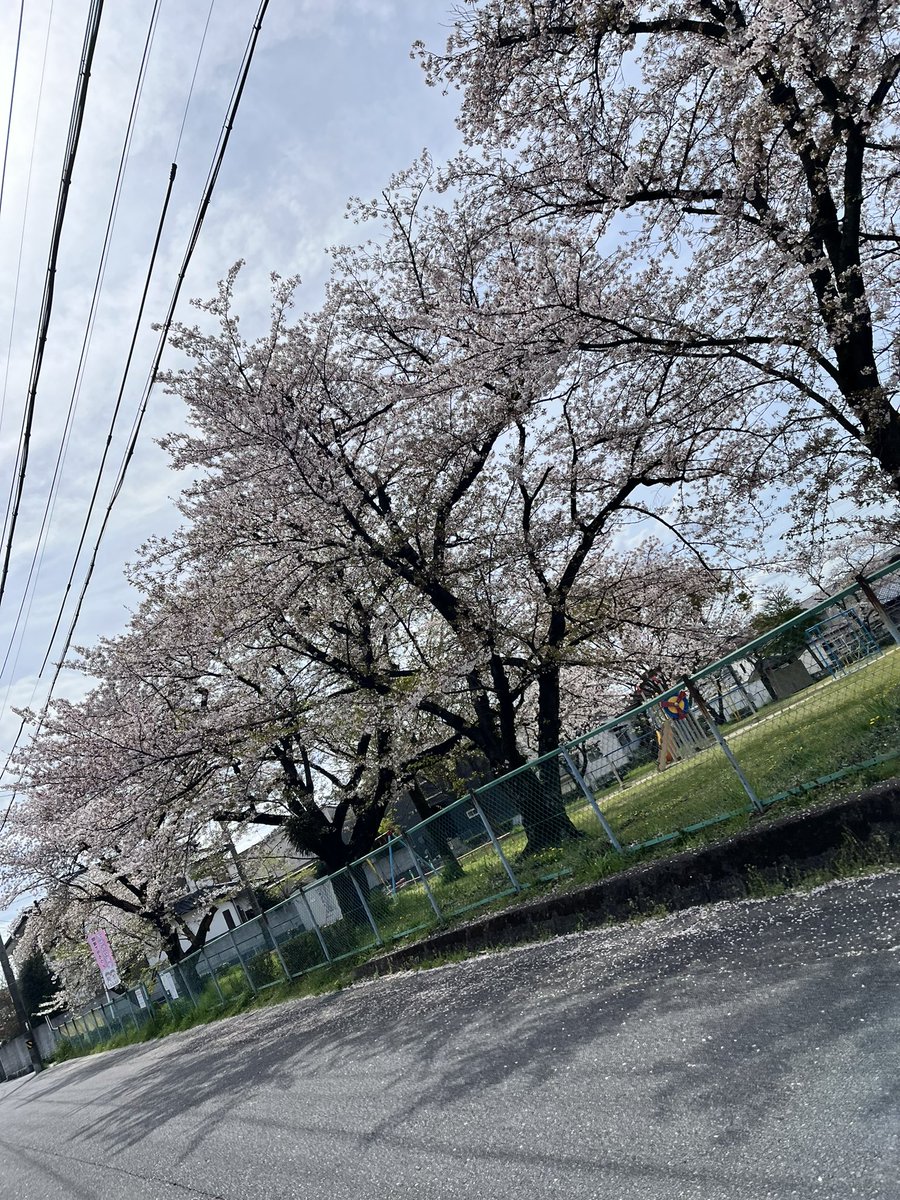 Opt_Fuji's tweet photo. おは富士🗻
ここ最近大手チェーン店で作ったメガネが見にくいからと来店されるお客様が多くなってます😅
名前が有名だからってその店のマニュアル一辺倒でメガネを作製する店はどうなんですかね🤔
ちゃんと勉強をされた #眼鏡作製技能士 のいるお店でメガネは作りましょうね😉
今日のメガネは #TiDOU https://t.co/vntrL7bC0u