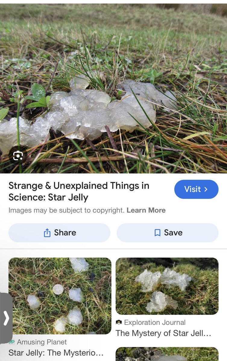 Last summer it rained a few times, and I would walk out in my backyard and find this clear translucent jelly stuff all over the yard and the cement. I just watched a documentary about Oakville in the 90s and they had the same thing but it made them sick. This is exactly what it…