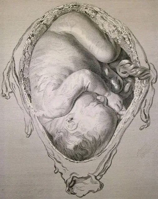 @CollinRugg “When pregnant, the cells of the baby migrate into the mothers bloodstream and then circle back into the baby, it’s called “fetal-maternal microchimerism”.⁠ For 41 weeks, the cells circulate and merge backwards and forwards, and after the baby is born, many of these cells stay…