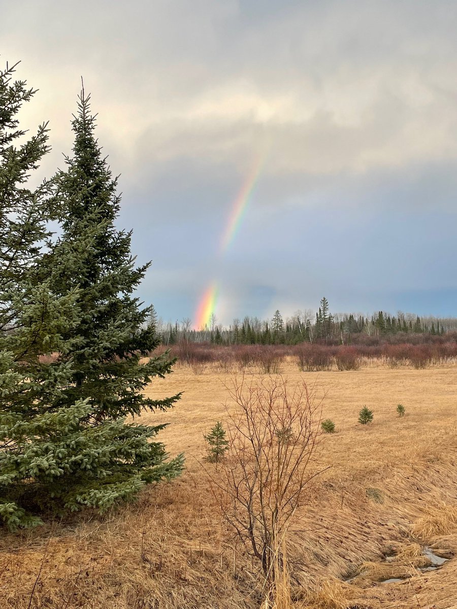 Today’s thunderstorms helped add some spectacular color to the dry landscape. Amazing photos shared by two viewers. #mnwx #wiwx 

📸 1: Stephanie Tutor, Chequamegon Bay
📸 2: Vicki Brown, Littlefork