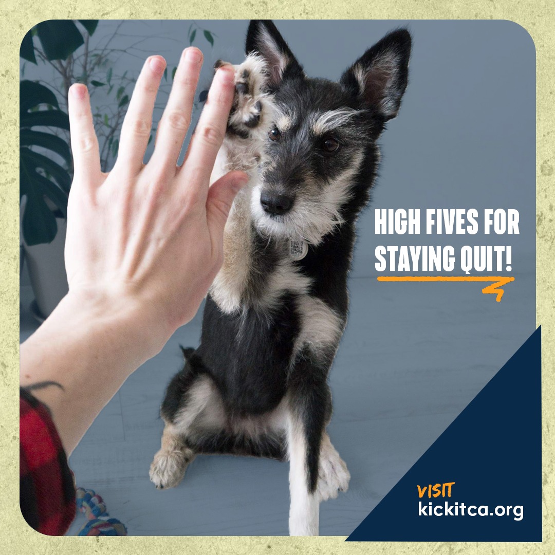 This #NationalHighFiveDay, give yourself credit for all your hard work to leave the smoke behind and to stay quit. And if someone you know is on their #quitting journey, let them know you’re proud of them!
For free help to #quittobacco and #nicotine visit kickitca.org.