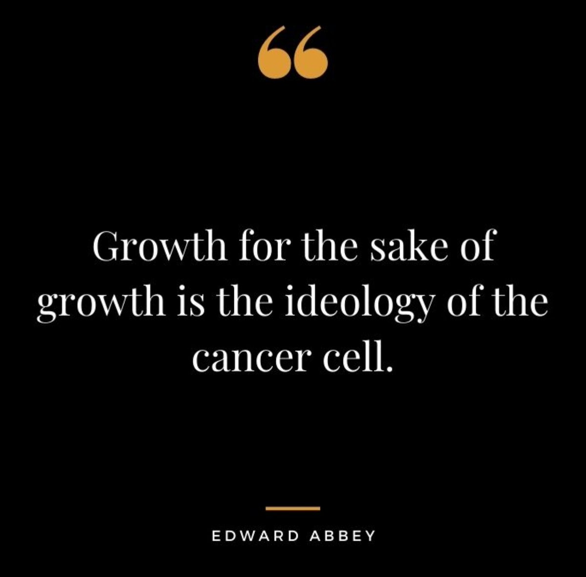 The blindness and avarice of American capitalism is wedded to the idea of infinite growth ... on a finite planet. That path can only lead to madness and death.