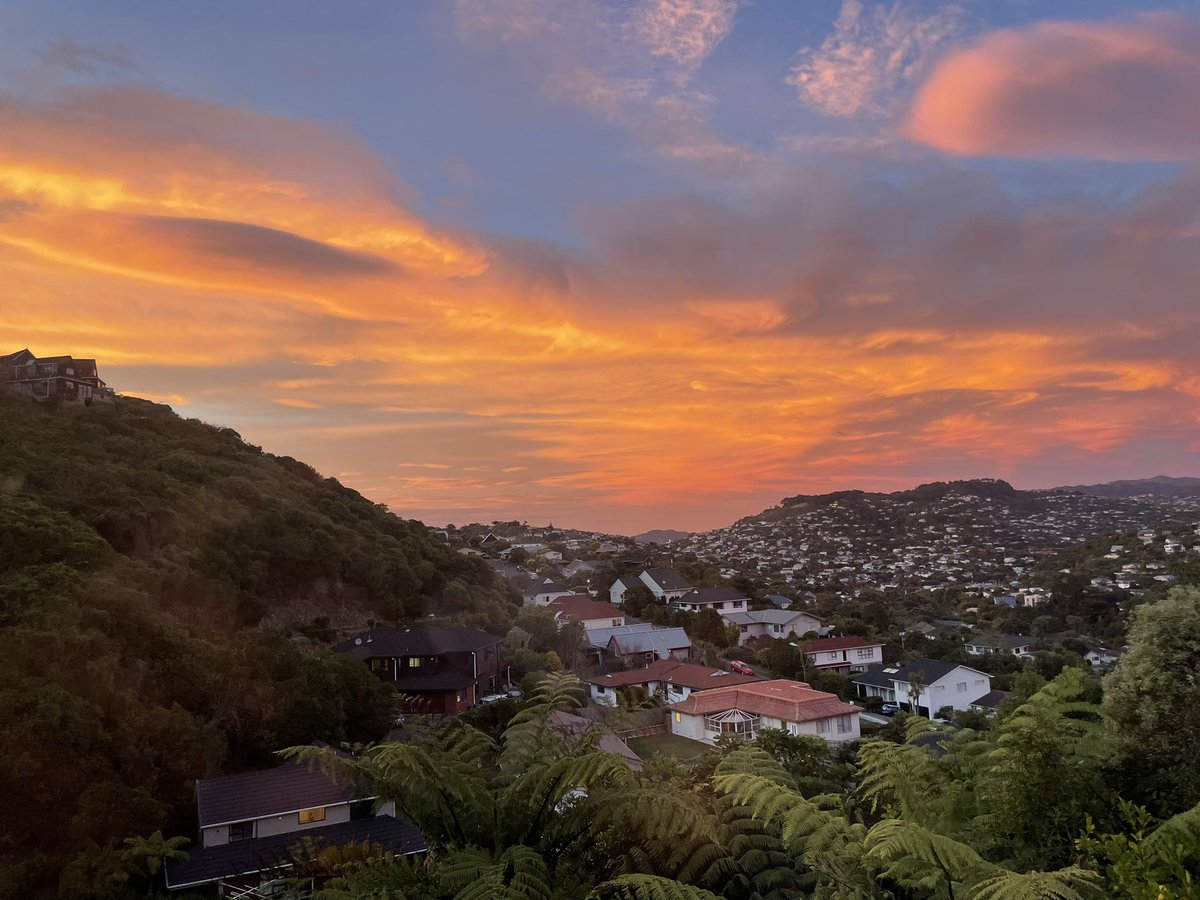 Wellington, Thursday morning