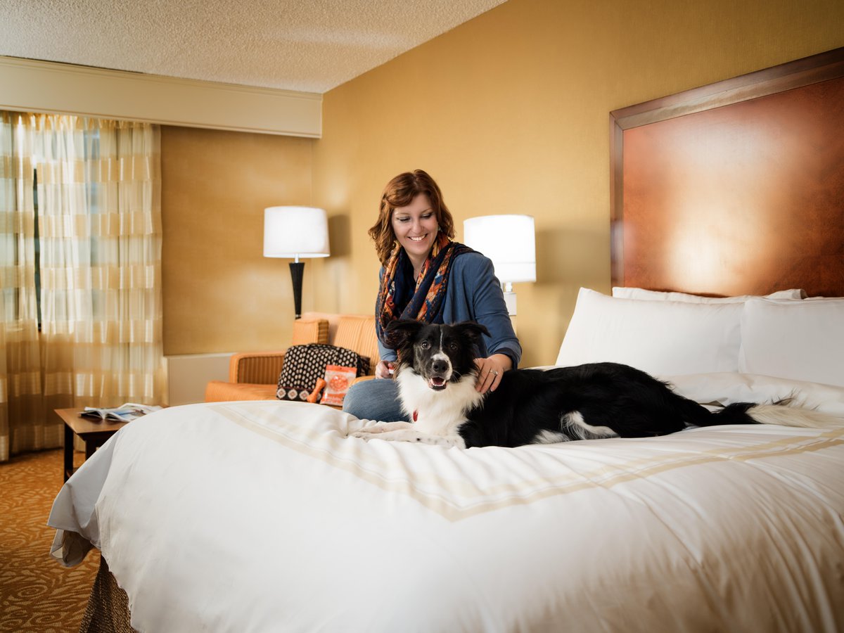 Happy #NationalPetDay! 🐱🐶 Treat your pets to a luxurious stay in our pet-friendly hotel, where they're treated like royalty. 

#VisitLincoln #PetFriendlyTravel #PetFriendlyHotel #DTLNK #DowntownLincoln #LNK #Lincoln #CornhuskerMarriott #MarriottBonvoy #MidwestHospitality