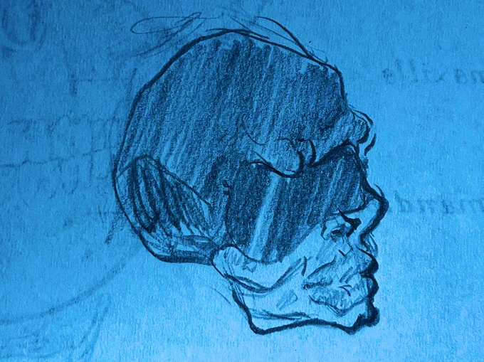 queen referenced off skull diagrams 