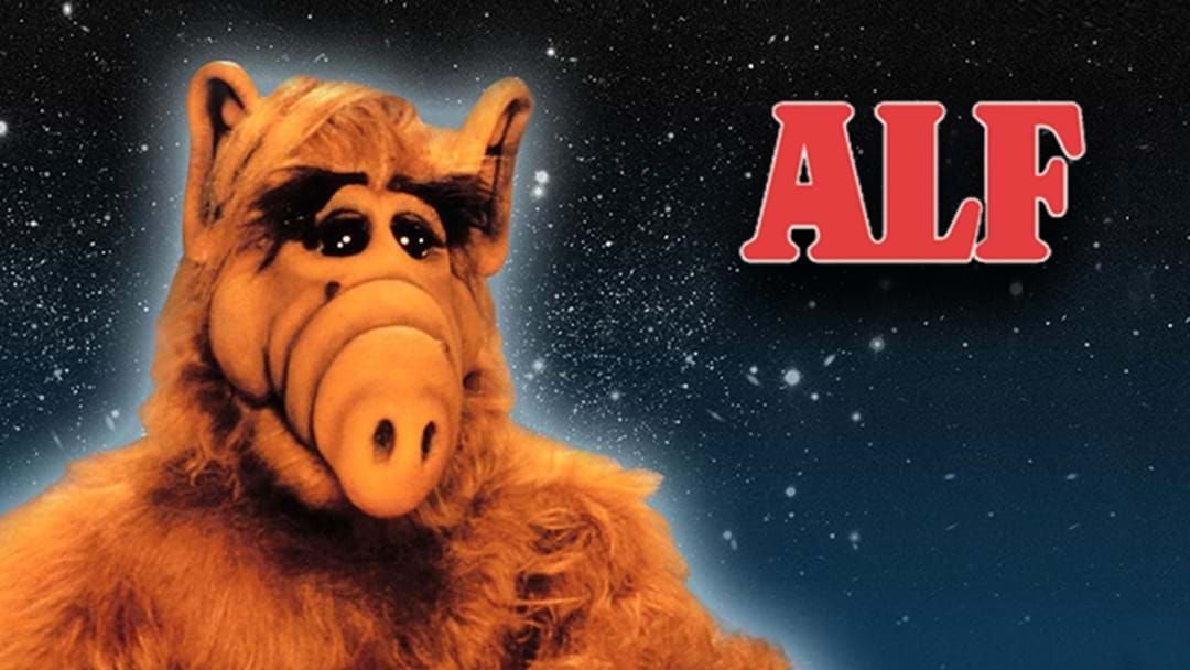 When I was a kid I was a huge ALF Fan! 'No Problem!'