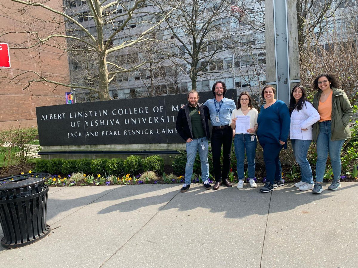 Today we delivered an Open Letter signed by postdocs from across departments @EinsteinMed, urging the administration to remain neutral and meet with us about a fair and efficient process for moving towards bargaining. Read the letter here: einsteinpostdocunion.org/wp-content/upl…