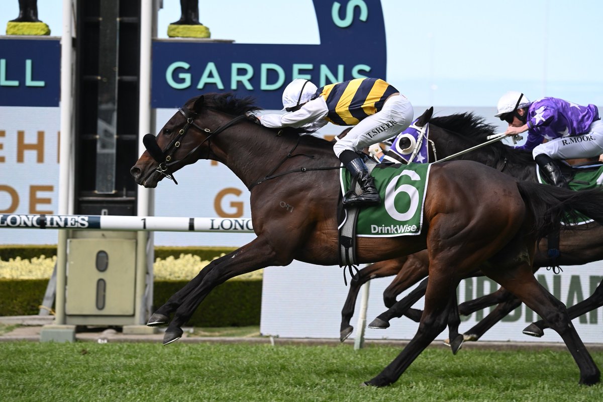 'I've always felt he was a genuine 2-miler...' @JohnOSheaRacing is confident Athabascan will run well in Saturday's Sydney Cup. LISTEN: bit.ly/3vXBRDb