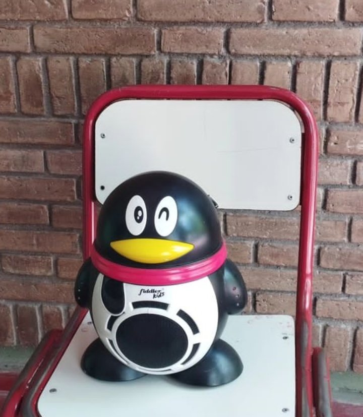 marquitosstaiti's tweet photo. El pingüino hace más ruido https://t.co/eHVlzxJuf4
