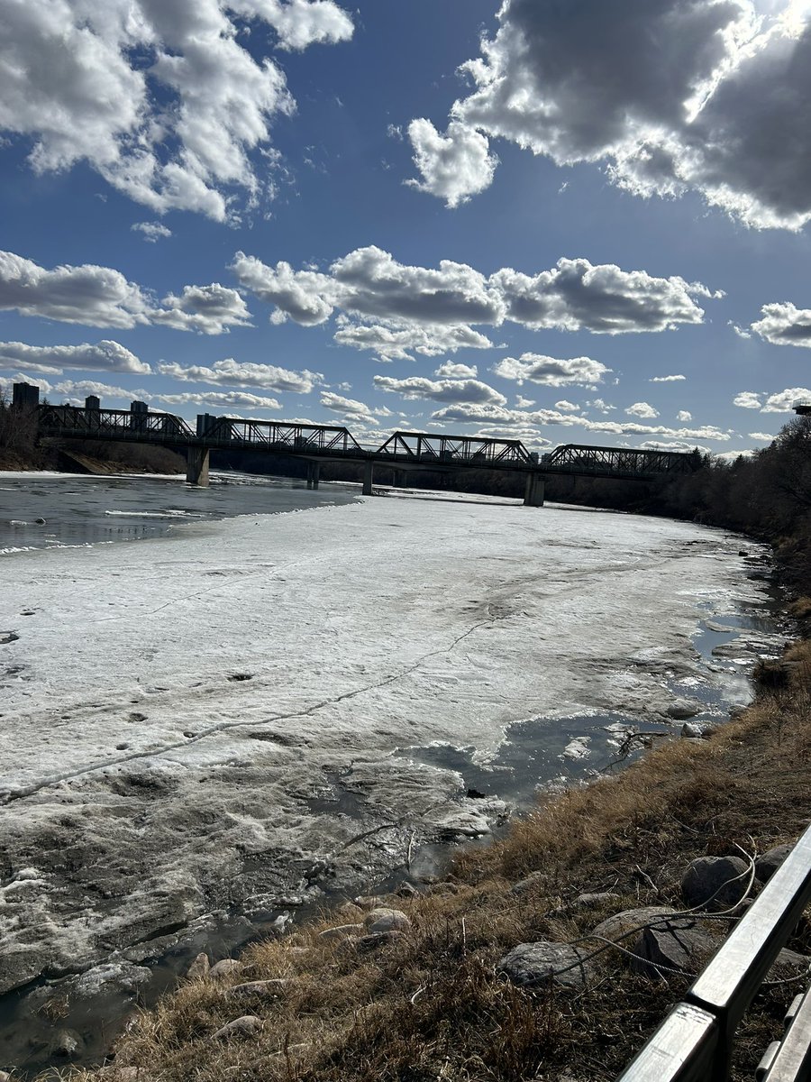 Took a ride 🚴 today, tracing steps of person who went into river running from EPS for by-law infraction. 82 ave & 93 st where they tried to stop him. I rode on the sidewalk, no lights/reflectors on my bike. by-law infractions? Coulda been me. Put tobacco down🪶#treaty6 #bwi