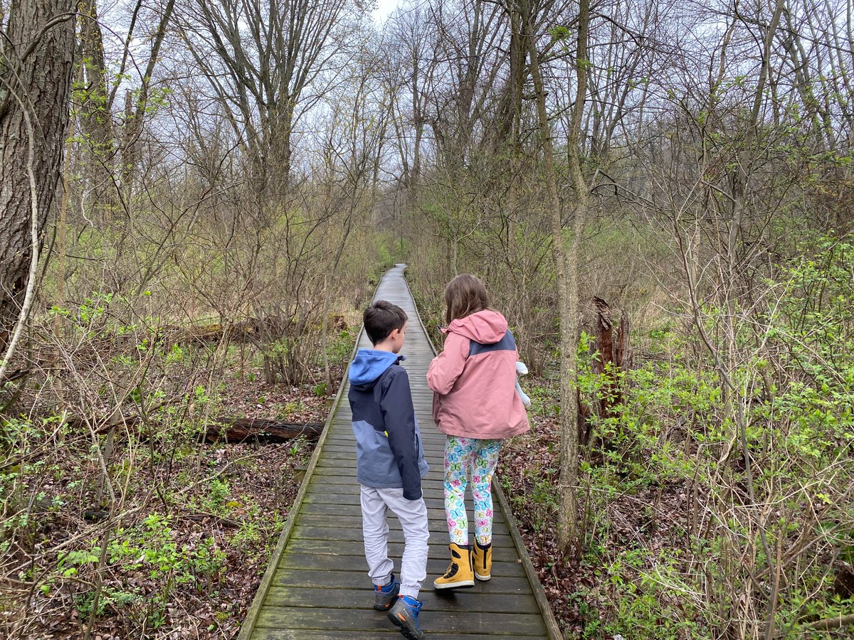 Watts_SH's tweet photo. We visited a really cool place called Cedar #Bog Nature Preserve in #Ohio. It's a boreal #wetland &amp; #fen complex with exceptional plant diversity due to a combination of glaciation features &amp; limestone #geology fed by a deep, underground aquifer! #CedarBog #Biodiversity https://t.co/8UaqKKjEoL