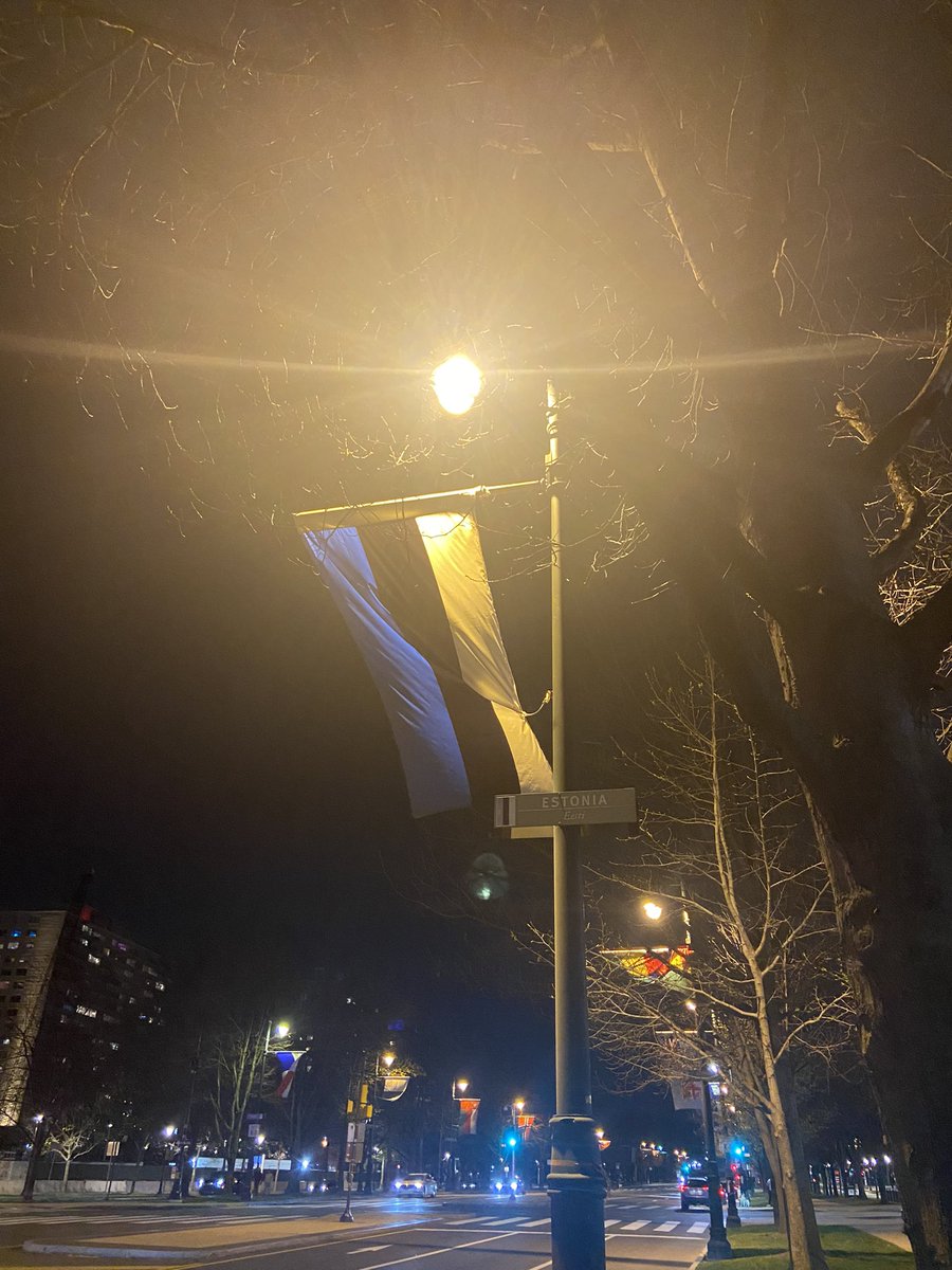 #flagoftheday #Estonia