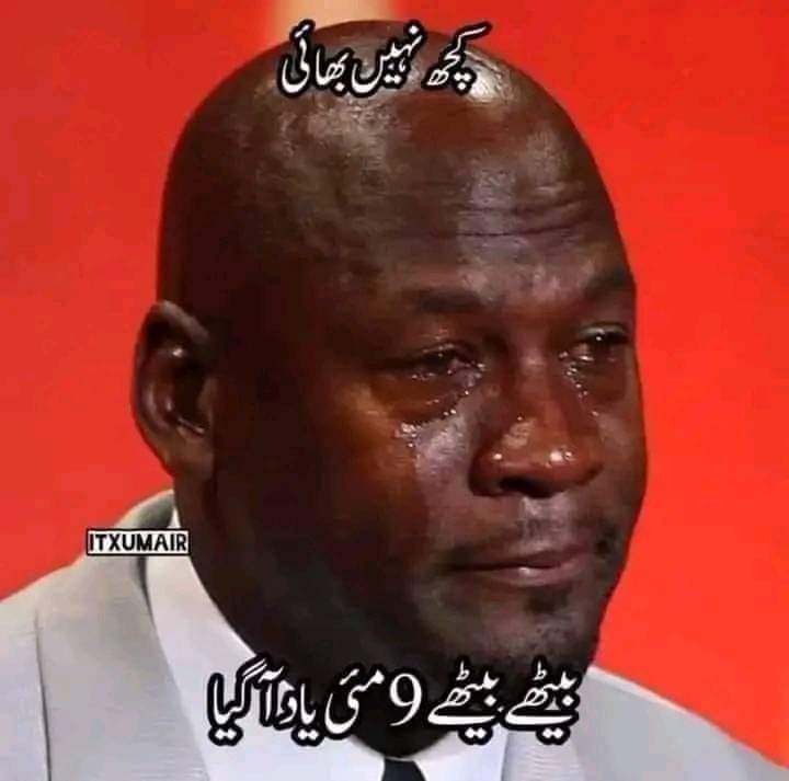 PTI Memes tweet media