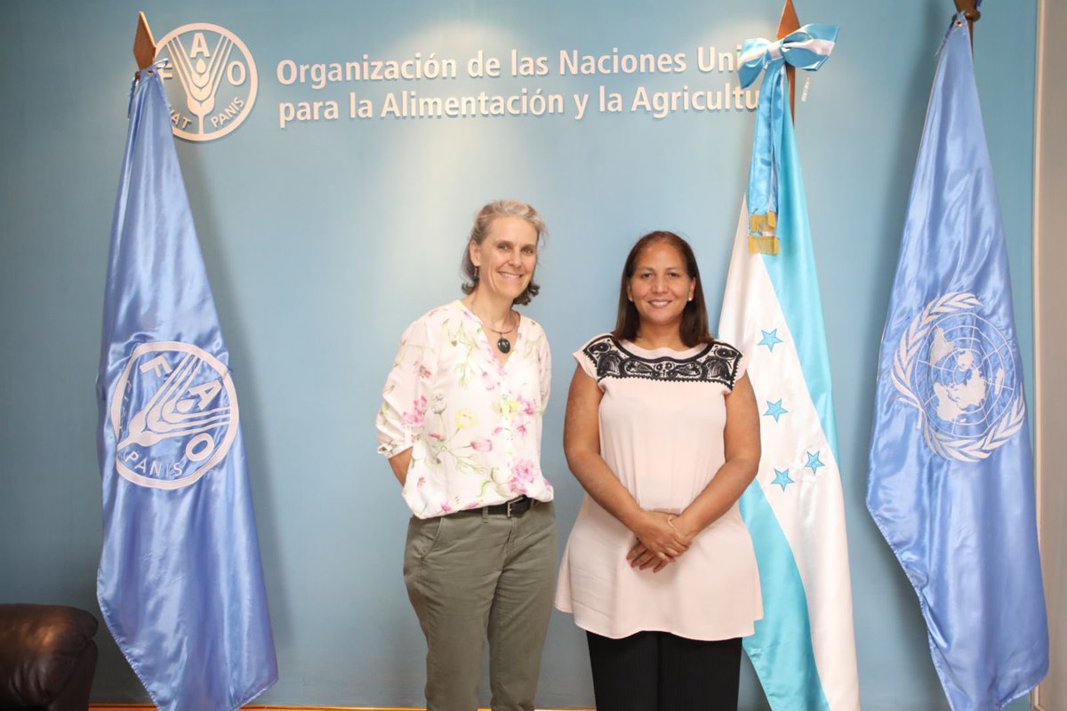 📍Tegucigalpa Productivo diálogo sobre colaboración conjunta en temas referentes al mapeo de suelos y sistemas agroalimentarios, sostuvo hoy la Representante de @FAOHonduras @FatimaEspinaFAO con la Coordinadora Regional para Centroamérica de @BiovIntCIAT_esp @wiegel_jenny