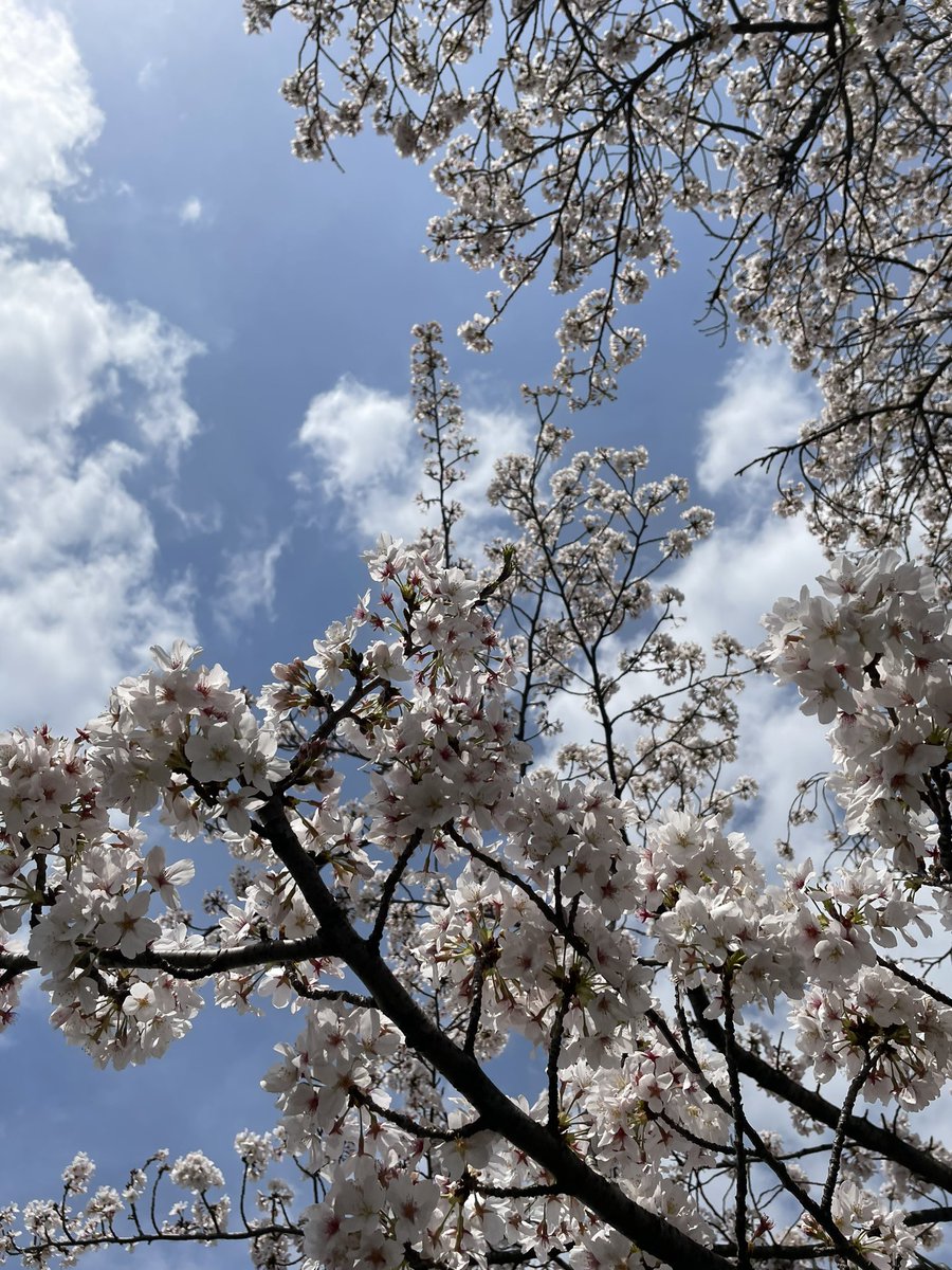 今空