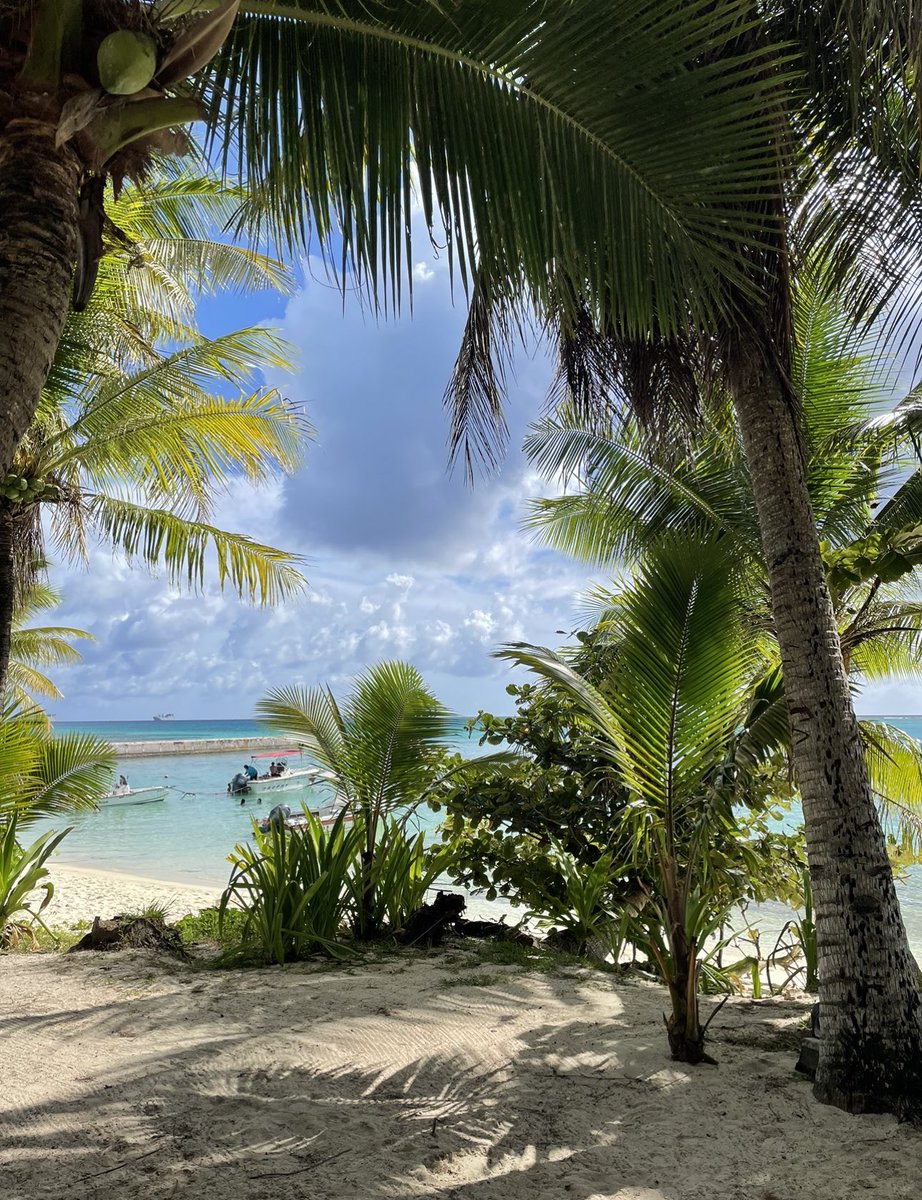 ofmiohonda's tweet photo. summer started early 🌴 https://t.co/SIVMVT2Z2h