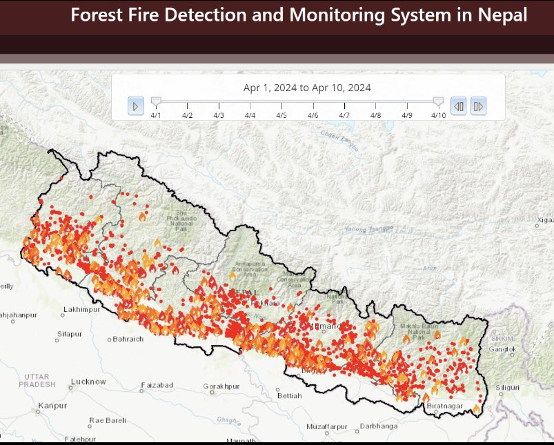 While the forests are burning …
its not just the trees that are lost, entire ecosystem is endangered, communities are affected and children and elderly suffer from pollution.

Time to revisit our forest management approach.