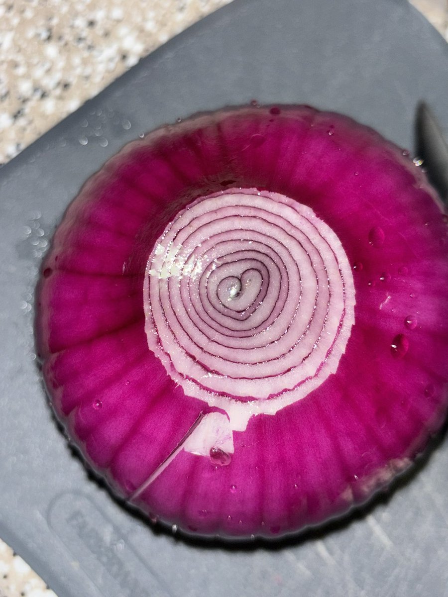 444kor's tweet photo. Onion heart https://t.co/jaZMjYeJH3