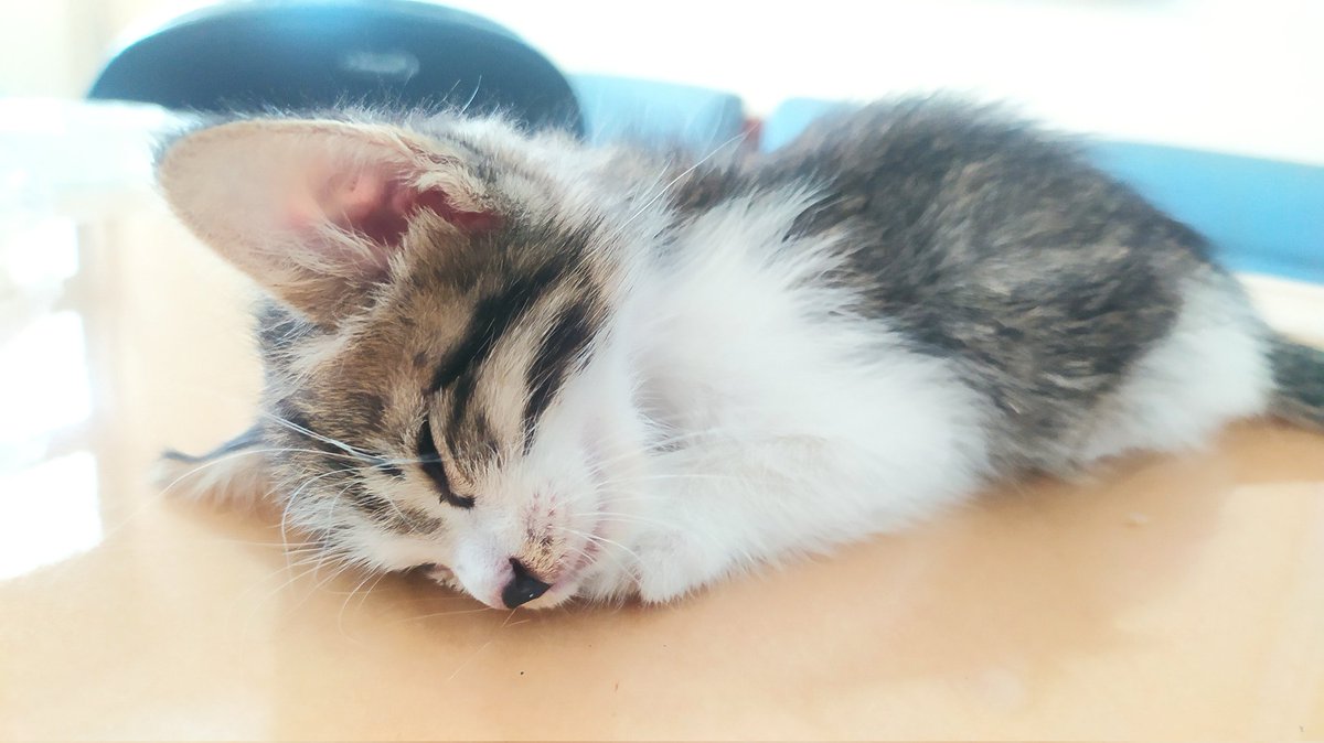 Canceled, back to bed