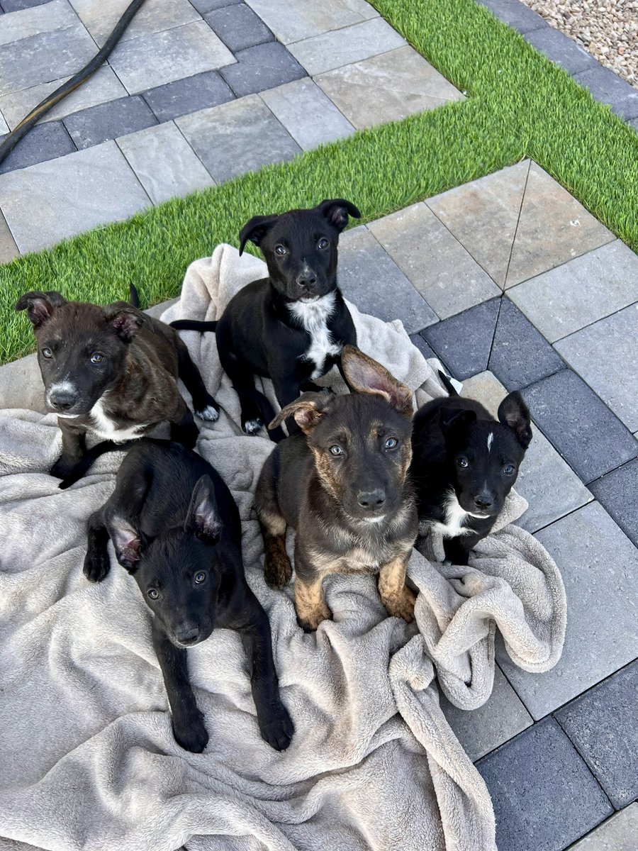 Irasema Concepción Paster, DO tweet media