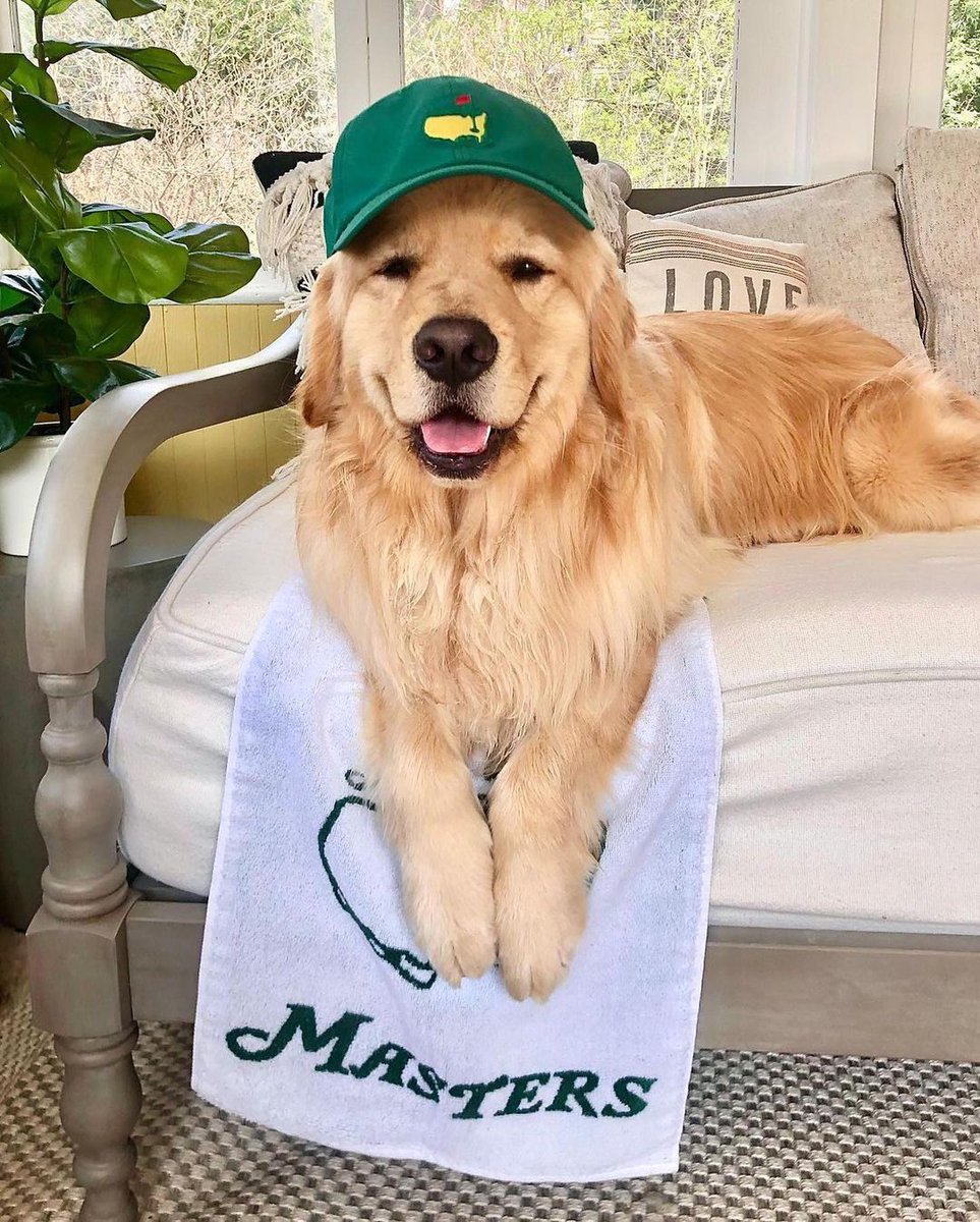 National Pet Day 🤝 First day of the Masters