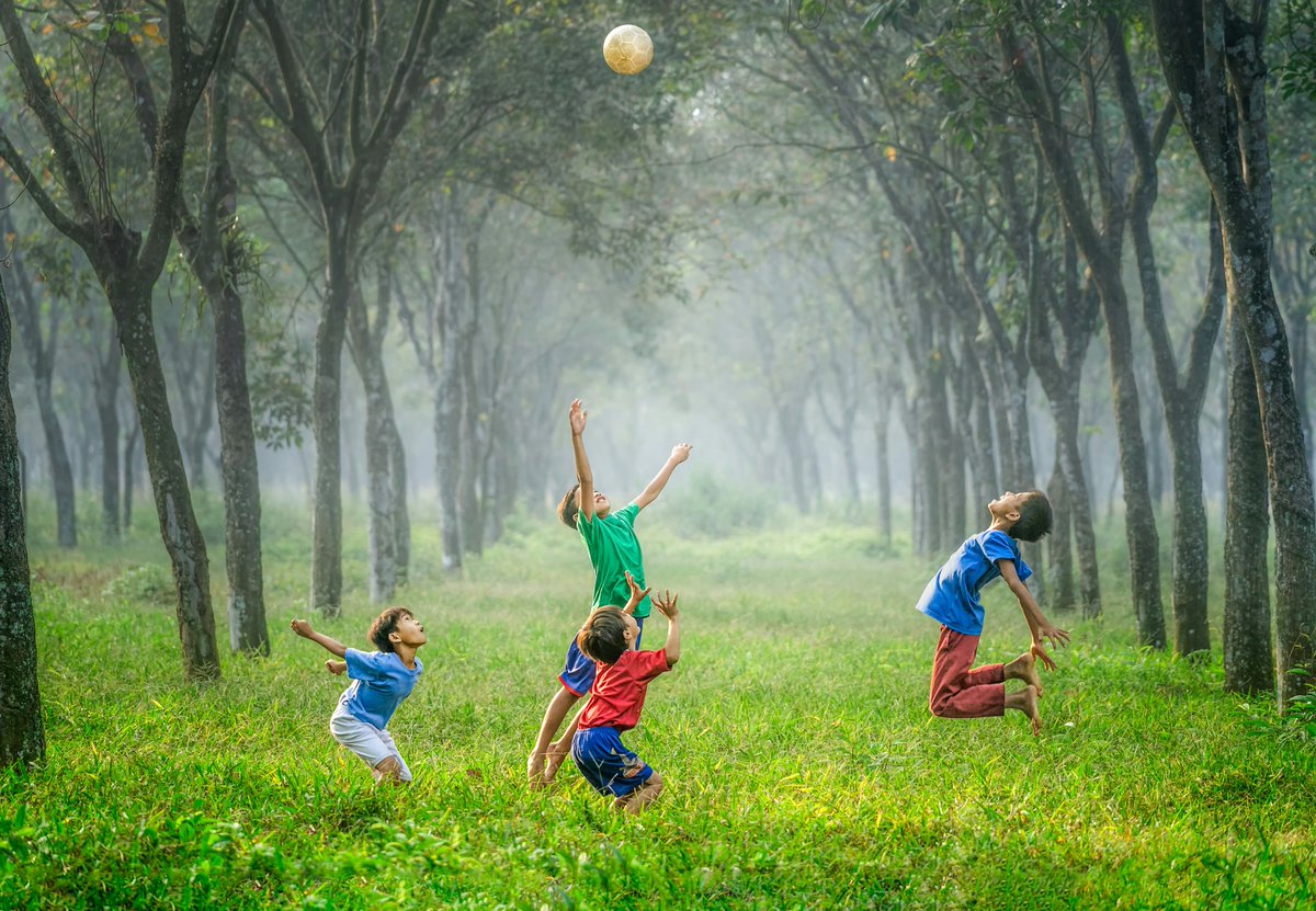 🌳Living near greenspaces could help reduce the risk of early anxiety and depression in early childhood, according to international researchers scimex.org/newsfeed/green…