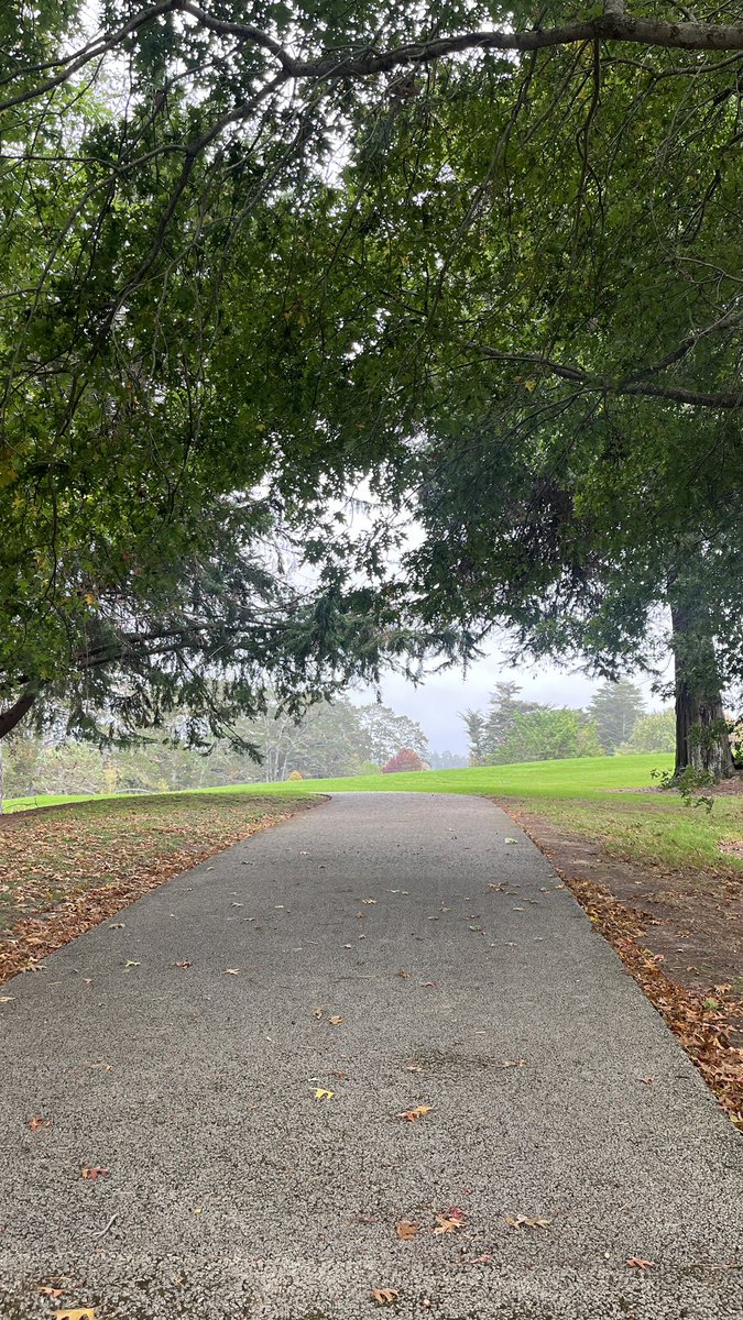 paperback_cat's tweet photo. Was going to run to the library to return my books but TO PROTECT THE BOOKS, I went for a park run instead https://t.co/O1qlZ4bYba