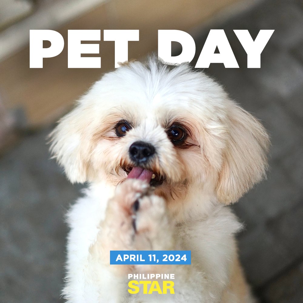Give your furry friends extra love today! ❤🐾 #PetDay