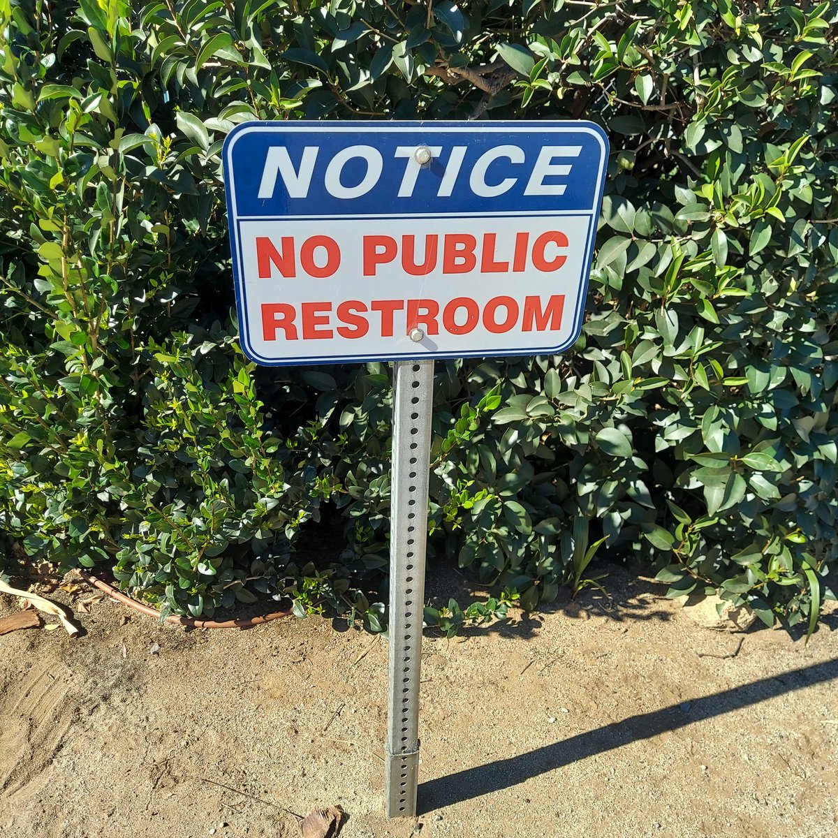 KiplingCarrie's tweet image. Once again you got to tell people not to go on canal
#nopublicrestroom