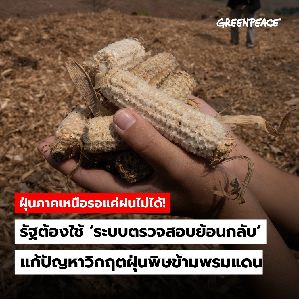 ระบบตรวจสอบย้อนกลับ หรือ traceability คือกลไกที่สำคัญมากสำหรับสิทธิในการรับรู้ข้อมูลของผู้บริโภคและทุกคนที่อาจได้รับผลกระทบจากห่วงโซ่อุปทานการผลิตของสินค้า ว่าแต่ละขั้นตอนการผลิตนั้นเกี่ยวโยงกับการก่อมลพิษและการทำลายสิ่งแวดล้อมรูปแบบใดหรือไม่ (1)