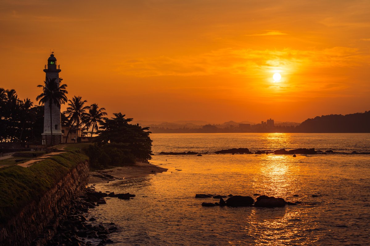 Today's sunrise by the lighthouse in Galle, Sri Lanka, was nothing short of spectacular 🌅! I learned two beautiful lessons: peacocks can fly, not just fly but fly over the sea, and sometimes small things need a helping hand 🐢💕. No matter where you are in the world, the magic…