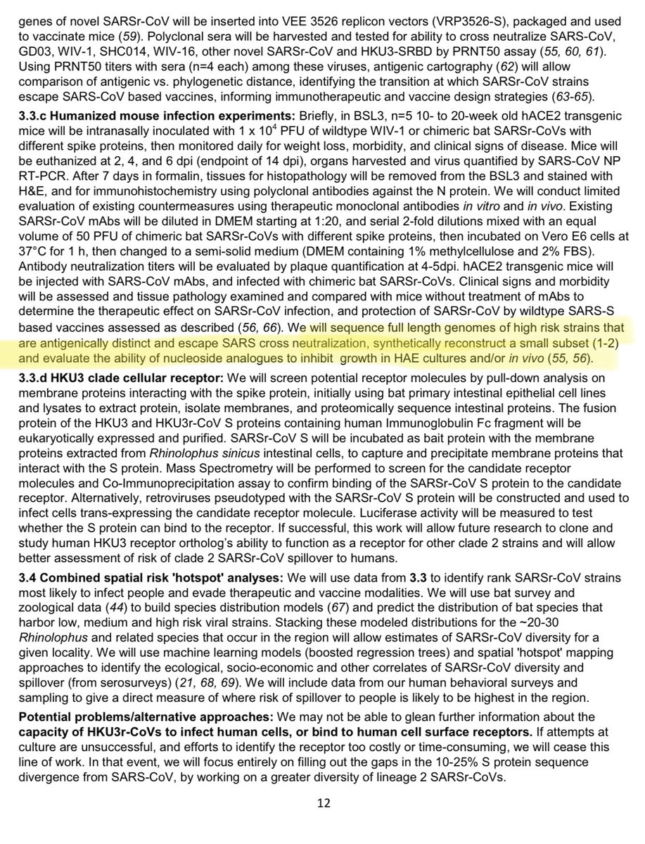 Finally, I want to point out this part of the EcoHealth renewal letter for their joint grant with WIV. They basically talk about creating synthetic backbones (reverse genetics systems) out of novel SARS-like strains that are able to evade immunity elicited by SARS1, and then…