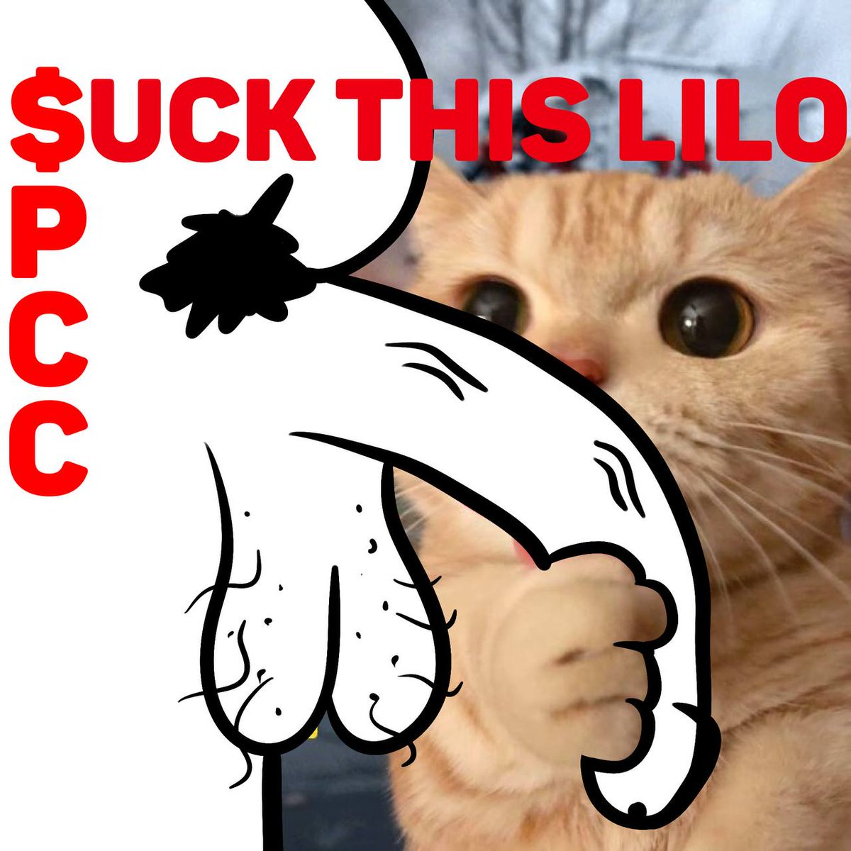PHAT COCK CAT tweet media