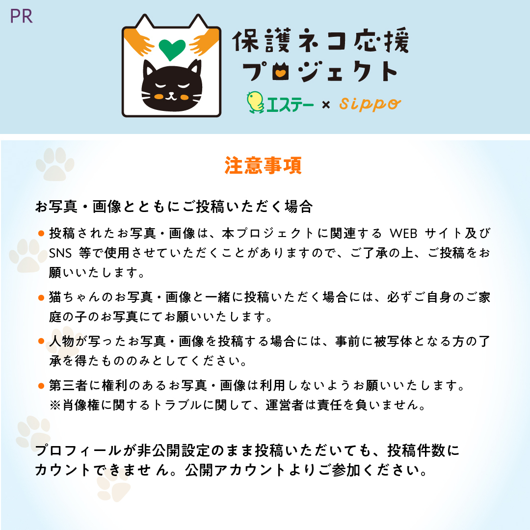 beni_neko_nyan tweet picture