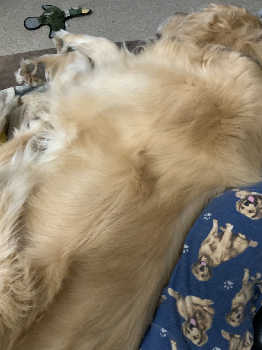 beadslut ❄️🧶🌈👵🏻🥃💅🏻🏈🧸 tweet media