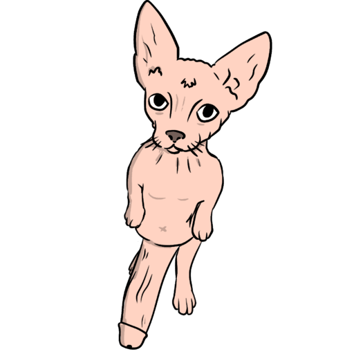 PHAT COCK CAT tweet media