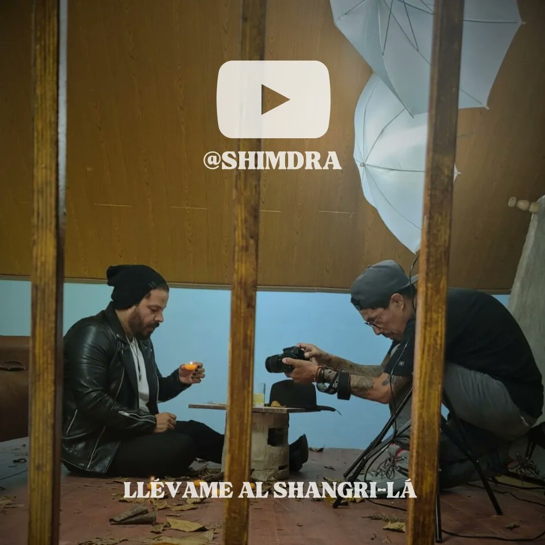 Shimdra tweet media