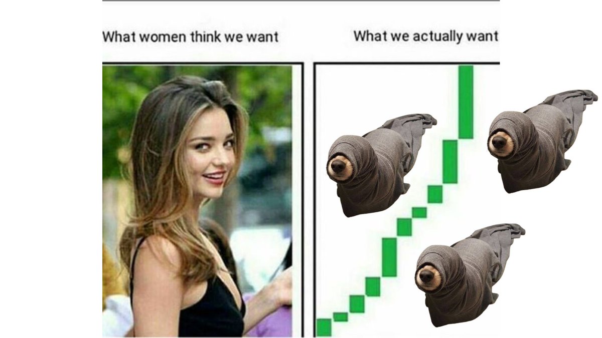 sealdogsol's tweet image. We don&apos;t make the rules WARFFFFF 🦭