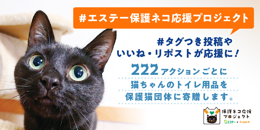 【エステー】全ての猫が幸せに暮らせる社会の実現を目指すエステー「保護ネコ応援プロジェクト」2年目がスタート prtimes.jp/main/html/rd/p…