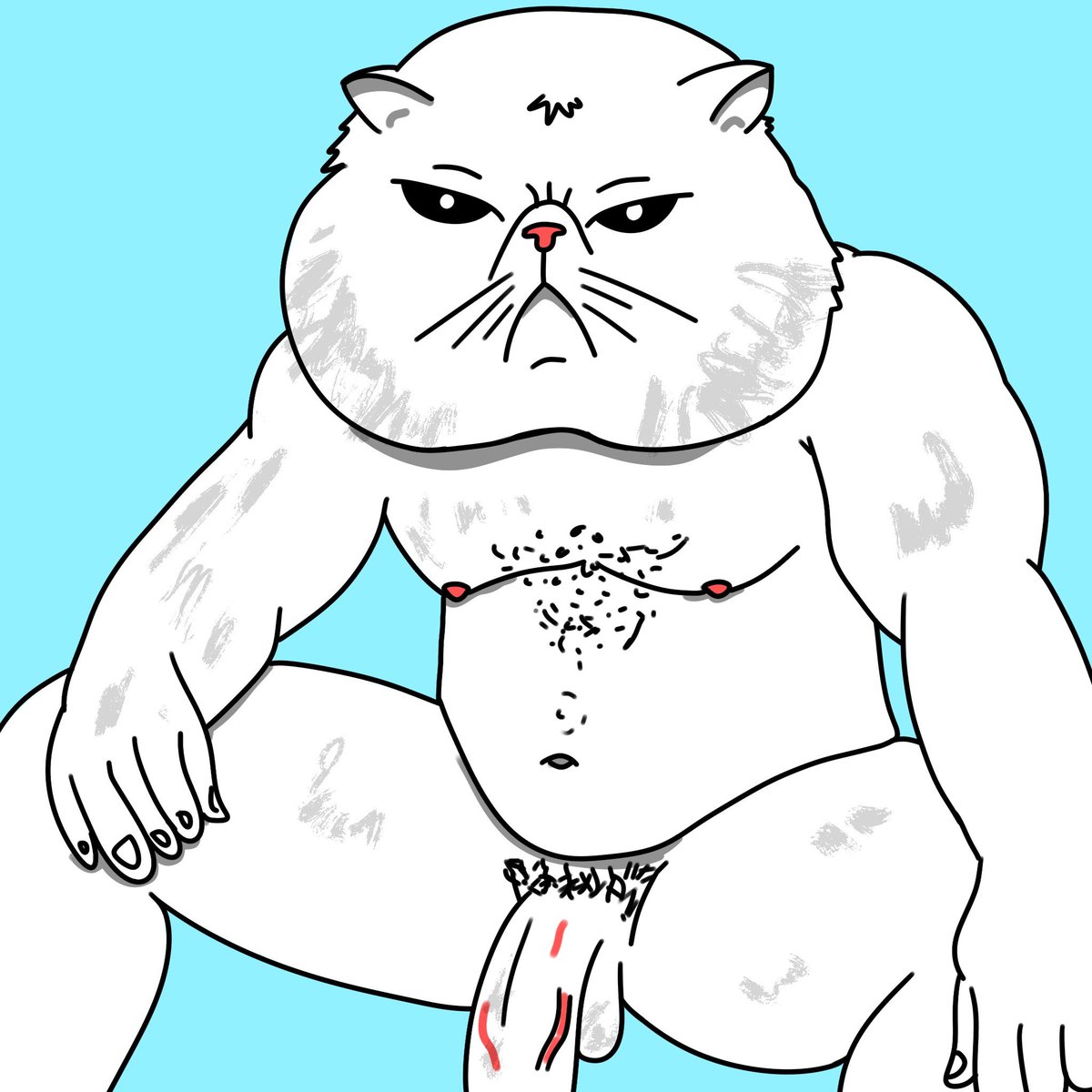 PHAT COCK CAT tweet media