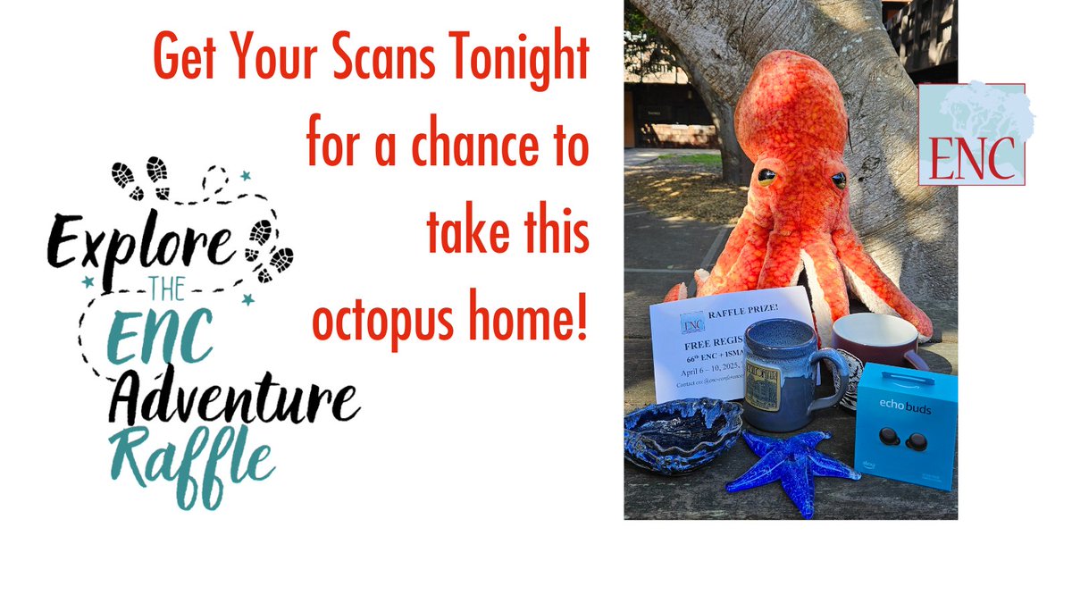 Get your #ENC2024 Adventure Raffle scans in tonight @enc_conf tweeps! It's a wide world, a big campus, with twinkly lights galore to guide your path. Have fun! See you at tomorrow's poster session where we will have a raffle with our high scorers entered.
