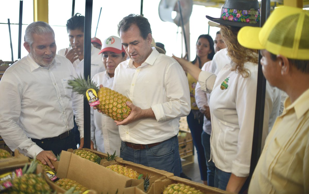 Pepe_Yunes tweet picture