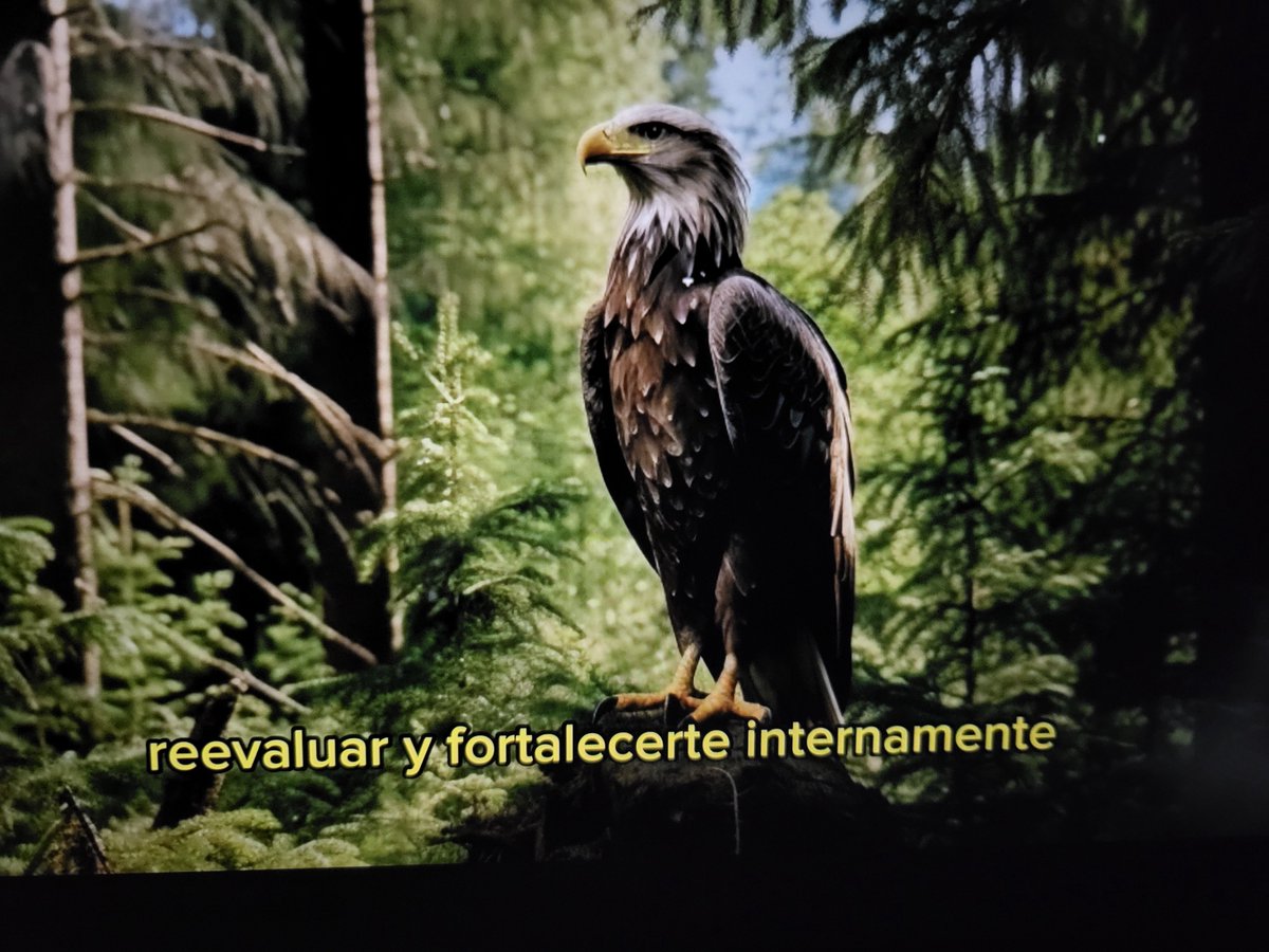 Si sientes que lo estás perdiendo todo, recuerda que los árboles pierden sus hojas cada año, pero aún así permanecen de pie, altos y fuertes esperando mejores días por venir.