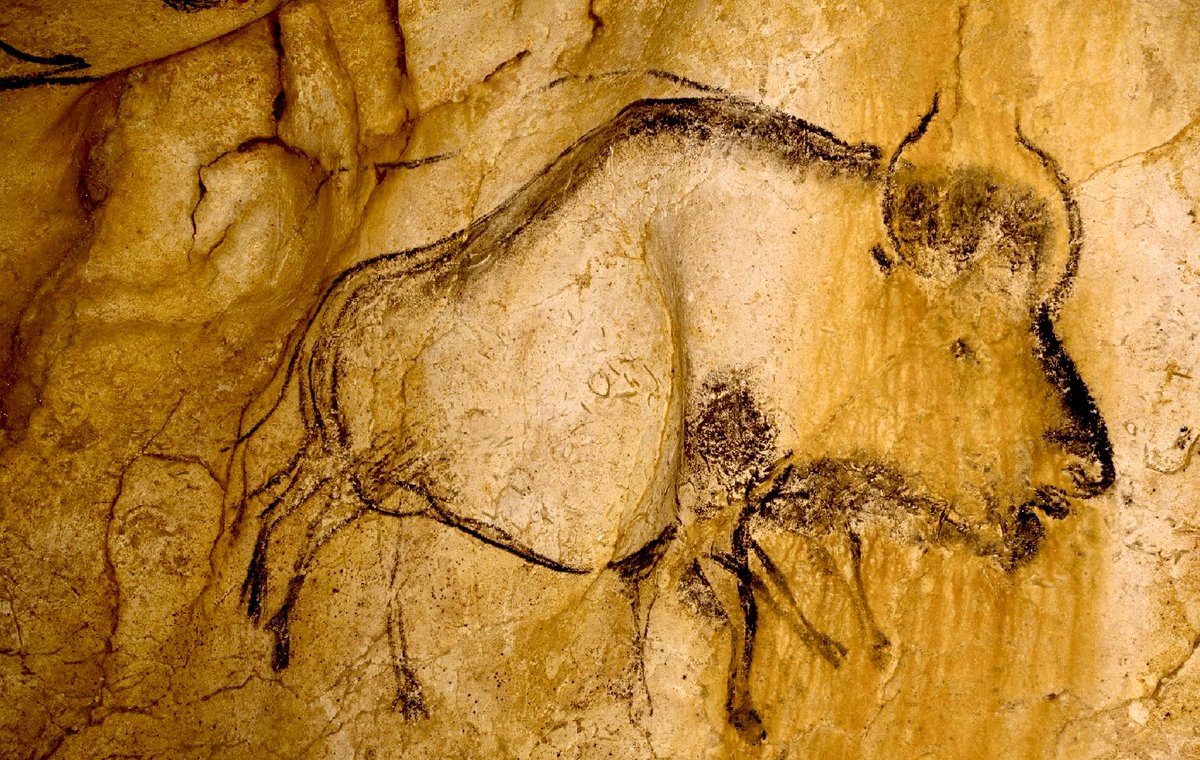 “The artist painted this bison with eight legs, suggesting movement - almost a form of proto-cinema. We are locked in history and they were not.” - Werner Herzog | Chauvet caves of Southern France, Cave of Forgotten Dreams