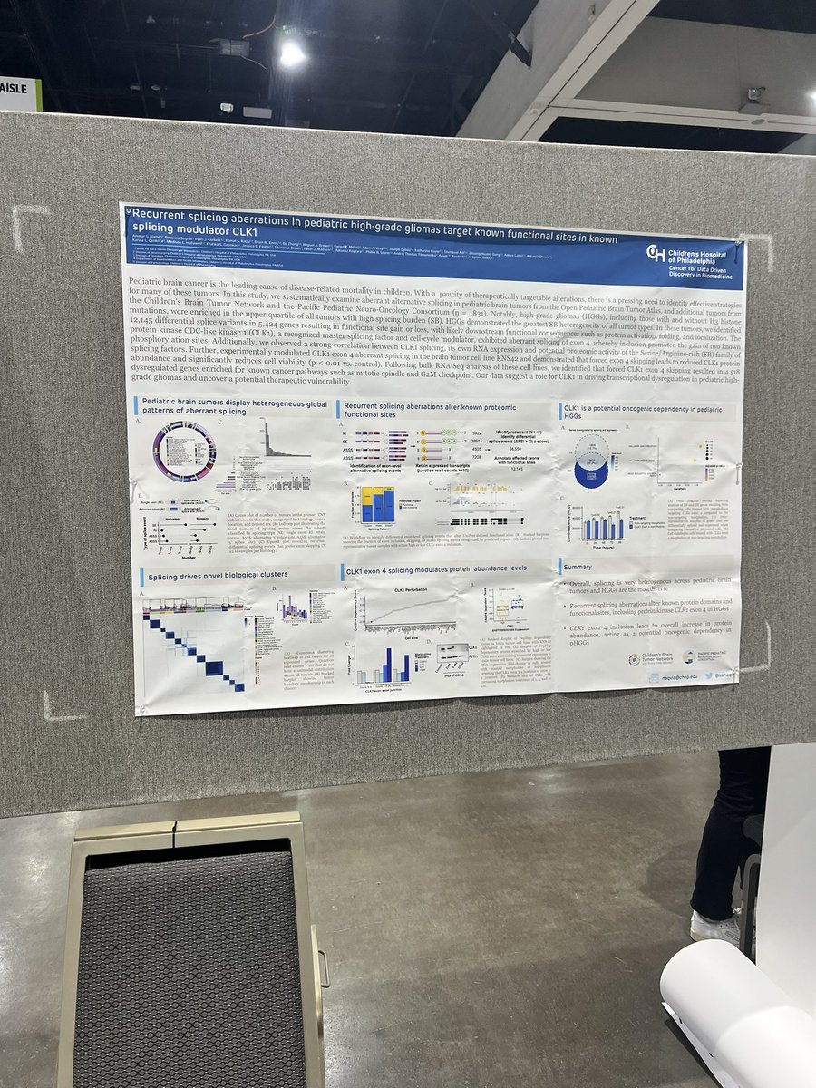 pet peeve: random people (well… conference registrants) taking a picture of your poster, not saying a word and quickly walking away… so here’s a pic for all of you! 🙃 #AACR24