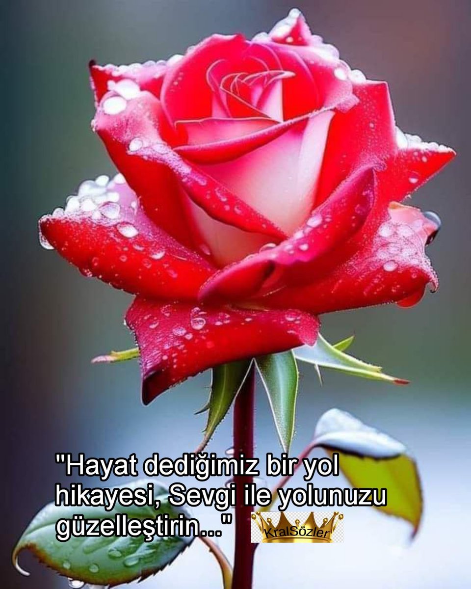 🖤🥀 'Hayat dediğimiz bir yol hikayesi, Sevgi ile yolunuzu güzelleştirin... ' #HayırlıBayramlar #CejnewePirozbe #Günaydın güzel insanlar #Rojbaş #KralSözler 🖤🥀