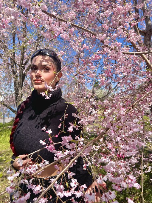 Hidden in the cherry blossoms 🌸 https://t.co/FhZIwxN5BK