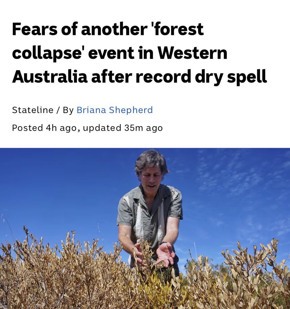 🚨Western Australia is facing a “forest collapse” event due to record high temps & the driest 6 months EVER Experts have recorded large swathes of dying flora from Denmark to Shark Bay What will it take for @walabor to stop supporting gas expansion? Look what we stand to lose!