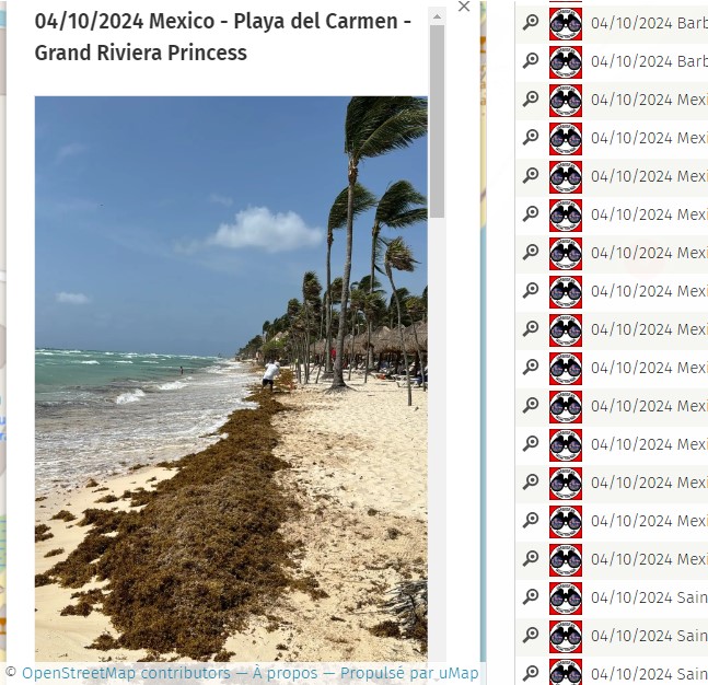 Apr.10th  2024 #Mexico #Mexique #PlayadelCarmen

Pictures of the day on the map 2024
here : sargassummonitoring.com/en/official-ma…

#sargassum #sargasso #sargazo #sargasses #sargassummonitoring #SurveillancedesSargasses #MonitoreodeSargazo #RivieraMaya #CitizenScience #sargassumseaweedupdates