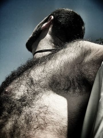 Hairy Chested Men (@MillsK2023) on Twitter photo 2024-04-11 03:11:47